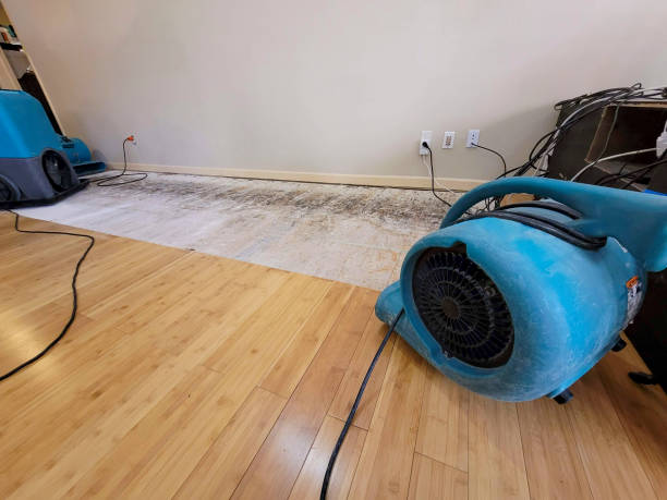 Professional Water Damage Repair technician working in Rocheport, MO